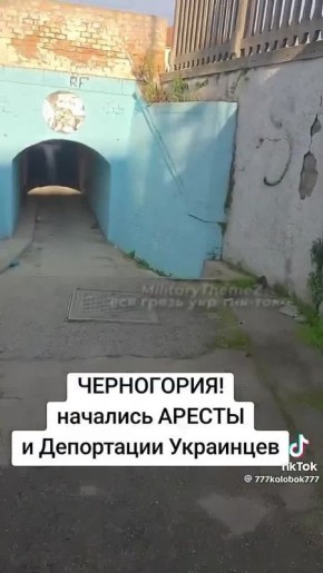 За депортацию взялась Черногория