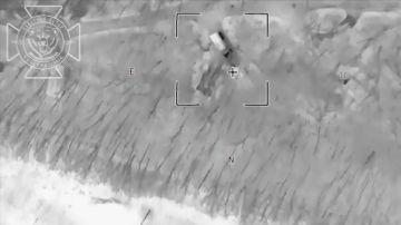 ���������� ��������� ���� "�������" � ����������� �������