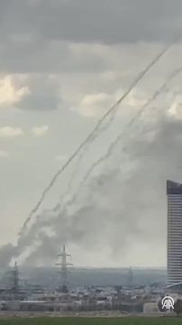 ��������� ���: ��� ����� ������ ������ ����������