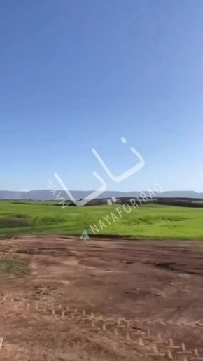 �� �����, ��� ���������� � ����, ������ ���������� ����� ���� � ������� �����