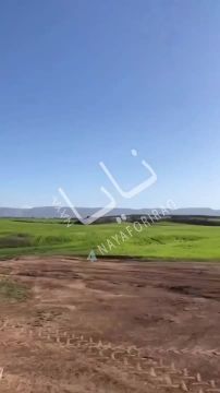 �� �����, ��� ���������� � ����, ������ ���������� ����� ���� � ������� �����