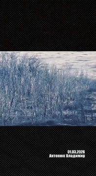 ��������� �������: �������� � ���� ���������� ���, ����������� ������� ��� �� ������ �����