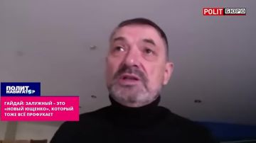 Укро-политолог: Залужный – это «новый Ющенко», который тоже всё профукает