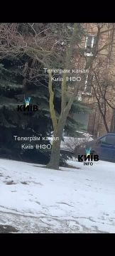 � ����������� �� ��-�������: � ����� ������� ������ �������� ��� ��������� ��������� �� ������ � �� ���� ������� ��������� ������ � ��������� ��-���������