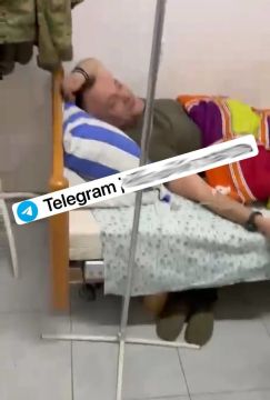 #������������_���������: �� ���������� ������ � ������� ��������� ��� ������� ������������ ����������, ������� �� ���������