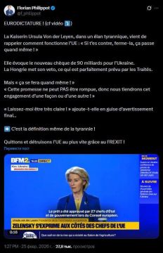 Лидер французской партии "Патриоты" назвал фон дер Ляйен тираном