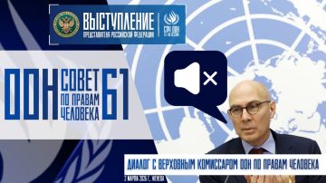 Выступление представителя Российской Федерации на 61-й сессии Совета ООН по правам человека в ходе диалога с Верховным комиссаром ООН по правам человека: