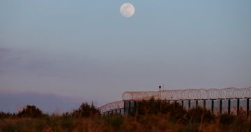 WarGonzo: ���� ������� �� ���������� �������� ������� ����� ������� �����