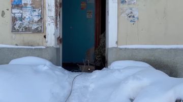 ���������� ������� ������������ �������� ���������� ��� ���������� � ������������ �������