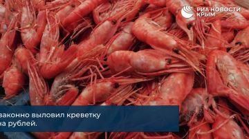 0 День с РИА Новости Крым