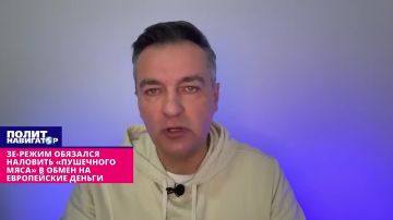 «С вас – деньги, с нас – отлов мяса на фронт»