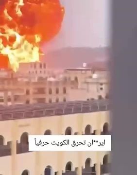 ���� ����� �������� ���� �� ���������������������� ������ �������