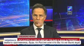 "НАТО – это платформа для Соединенных Штатов, чтобы они могли проецировать свою мощь на мир", — генсек НАТО Рютте