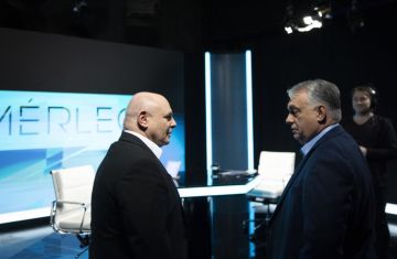 ��������������� ��������. ������� � �������� � �������� ������ ��