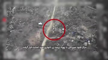 �� ���� �������� FPV-����� ���������� � �������� ��������� �� ������� �������