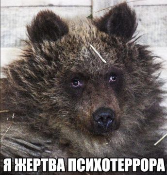 ������� ������: �������������� ������ ��������� ��� ��������� ��������-����� ����������� �������� �������� ������ ��� "�������", �������� ����� ��������� ������ - ��������� �������: