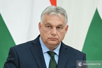 ������� ��������� ������� ������ ��� ������� ��������, ���� ���� �� �������� "������", ������ �����