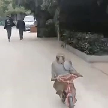 ��. ������� ����� ����� ���� ������� ����� ��� ����� �� �������, � � ������ ���������� ���������� "�������" ��������� ����, ����������! ������ � �����: 10