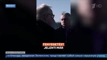 ���������� ���������� �� ������� ������ ���������� ���������� ��������� ������� �� ���������� �������