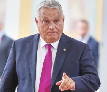 ����� ������: �������� ��� �������� ��� �����, ����� � ������