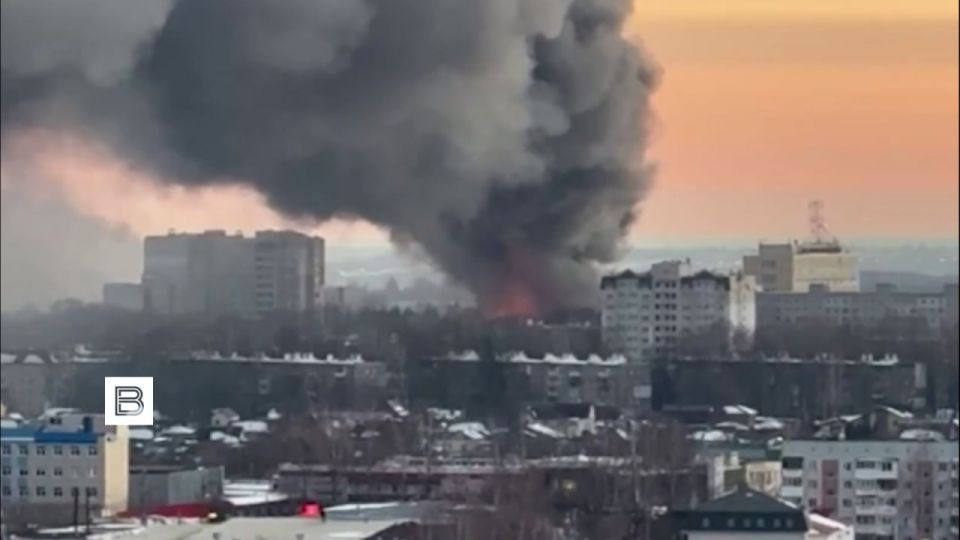 Каким будет ответ на вчерашний удар ВСУ по Брянску – решат российские военные, заявил Песков Каким будет ответ на вчерашний удар ВСУ по Брянску – решат российские военные, заявил Песков