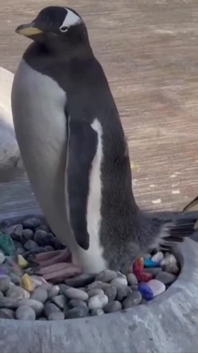 �. ������ ����, ����������! ������, �� ��������� �������� ����� �������, �� ������ � ���������, �� � � ������� ��� ��� ��� ������ ����� ����������� � ��������