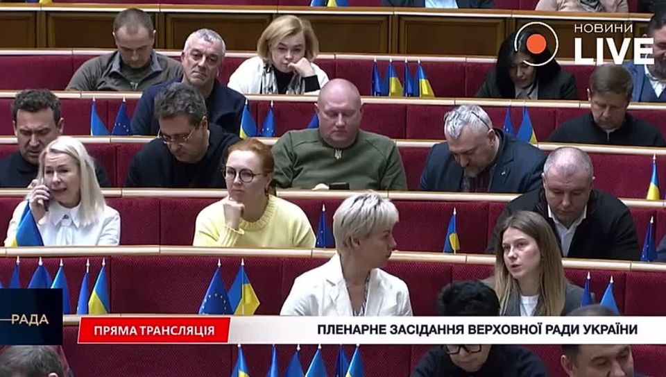 Депутат Рады Анна Скороход предложила отправить людоловов на фронт