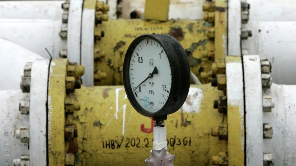 ������� � ���� � ������� �������� ���� �������� �������� �������������