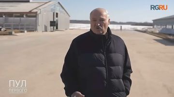 ����� ������� �� ������: �������� ������ � ������ ��������� ��������, � ���������