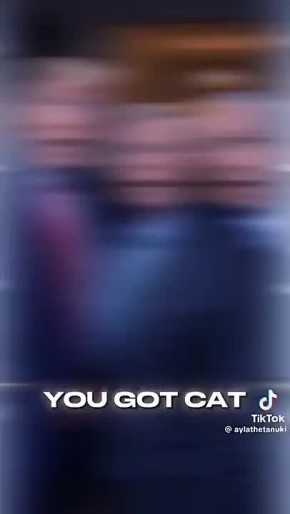 ����� �����, ���� �� ������������� ������������ ��������-������������� � ��� � �������� �������� MAGA (� ��������� �������), ������ ������ ���������� �� ������ ������� �������� ������