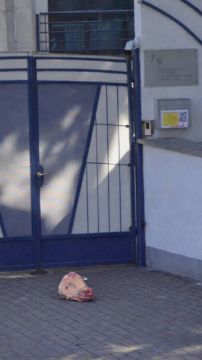 � ���������� ������� � ��������� ����������� �������� ����������� ������ ������