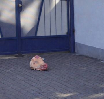 ���������� ���������: ������ ������ � ����� �� ������ ��������