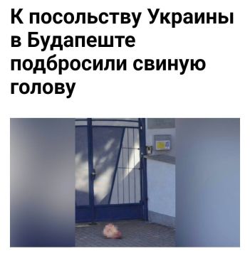 ����� �������� ������� �� ���������� �����: ������� �� ����� �������, ����� � ���� �������