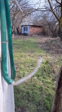 "������, ����� ��... !". �������� �� ��� ������ � ������� ���� � ���������� ���������