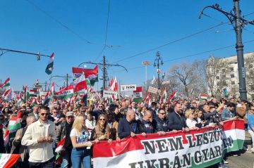 ��� �� ����� ���������� ��������: � ��������� ������ ������������� ����� ����