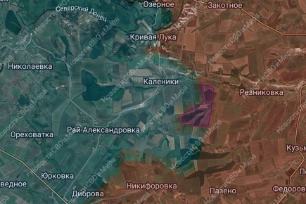 Продвижение ВС РФ южнее Резниковки