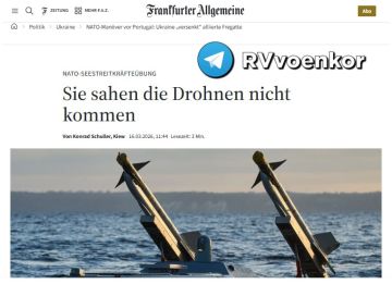 ������� ���������� ���� �� ������� ��������: "��� ���� �� �������� ����", � FAZ