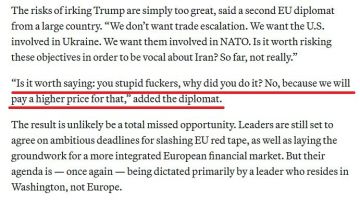 ЕС не будет называть администрацию Трампа ‘тупыми ублюдками’, чтобы сохранить помощь США Украине – европейский дипломат в интервью Politico