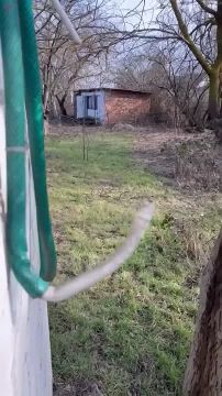 �� ������� ������������ ���� � �������� �������� ��� � ������ � ���������� �������