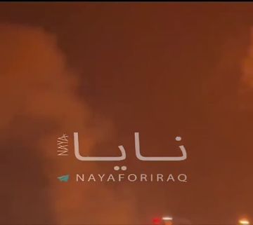 ��������� ���: ��� ����� �� ���� �� ������� ������� �������� �� ������