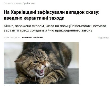 � 4 ���� ��� ������� ���������� ���� ��������������