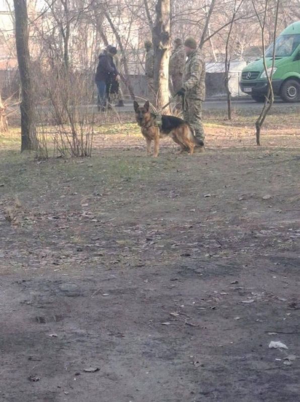 По старой доброй фашистской традиции заключённых концлагеря охраняют с собаками По старой доброй фашистской традиции заключённых концлагеря охраняют с собаками