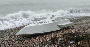 ������������ ������� ���� ��������� � ������� ������: ��������� ��������� � ׸���� ����