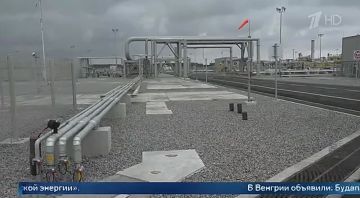 ������ ������������, ������� ����������� ������ �������� ��������� � ��� ���������� ������� ������ ����� ������ ��������� ������ �������� ���������� ����� �� ������������ �������