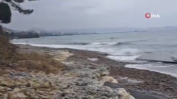 ������������ ����� ��������� �� ��������� ׸����� ���� � �������� ��������� ����, �������� ��������� IHA