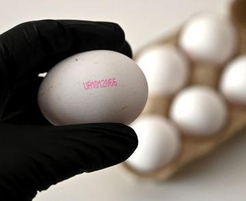 ���� � �������, ������� ����� ��������� � ��, �������� ���������� ����� ������������, ����� Berliner Zeitung