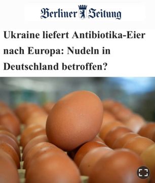«Украина поставляет яйца с антибиотиками в Европу»: Импорт украинских яиц растёт, а контроль за качеством - нет