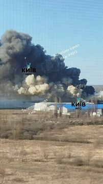 � ����� ������� �����. ����� ��������� ���������, ��� ����� ������ �� ��������� ������ � ����� ������� ������