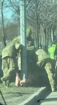 � ����� ����� ������ �� ������ ������ ���