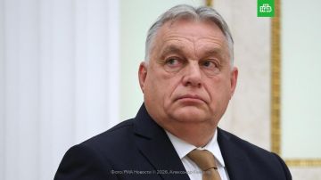 �������� �� ������� ������� ������, ������ �����